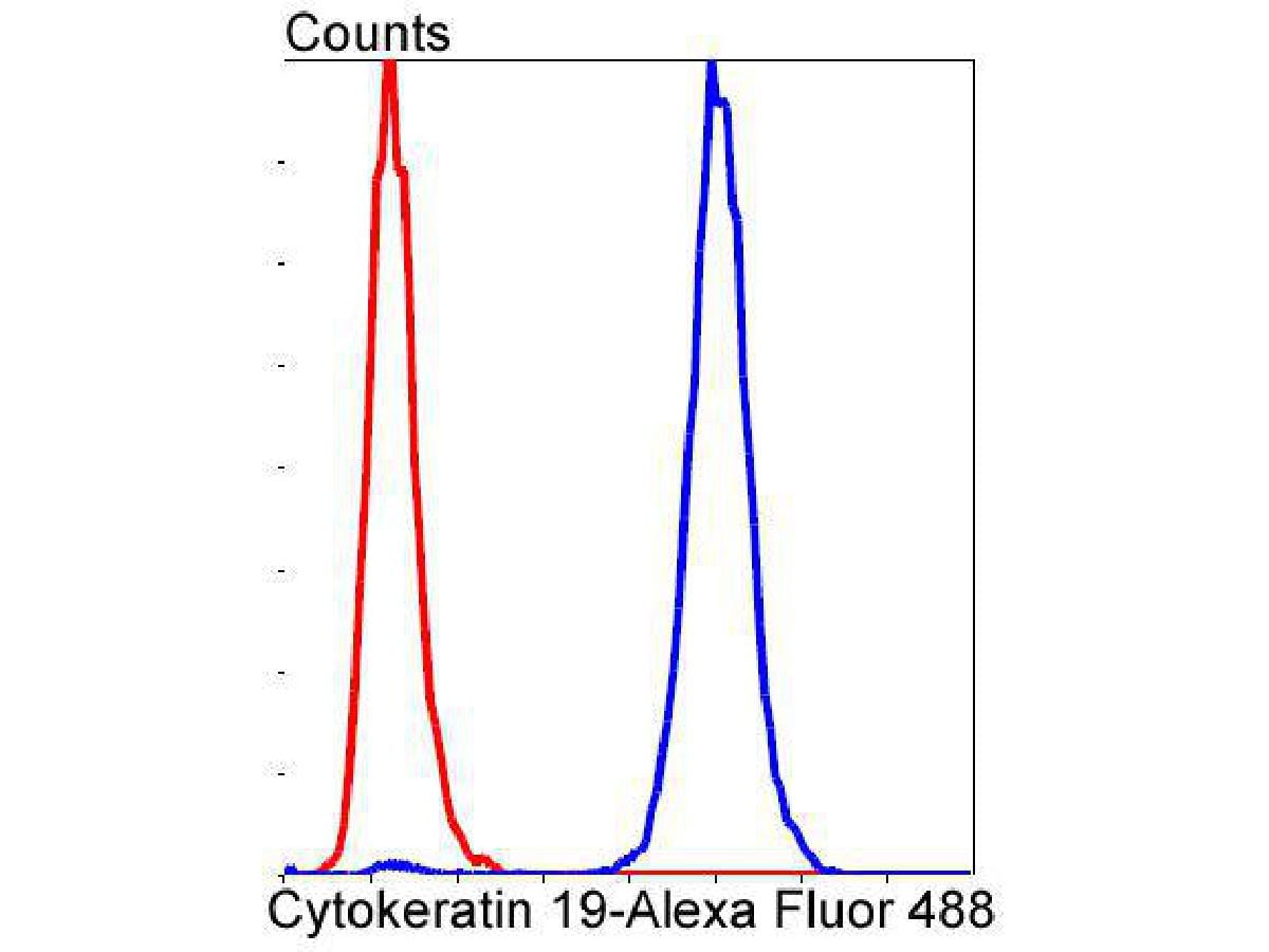Cytokeratin 19 Antibody (SA30-06)