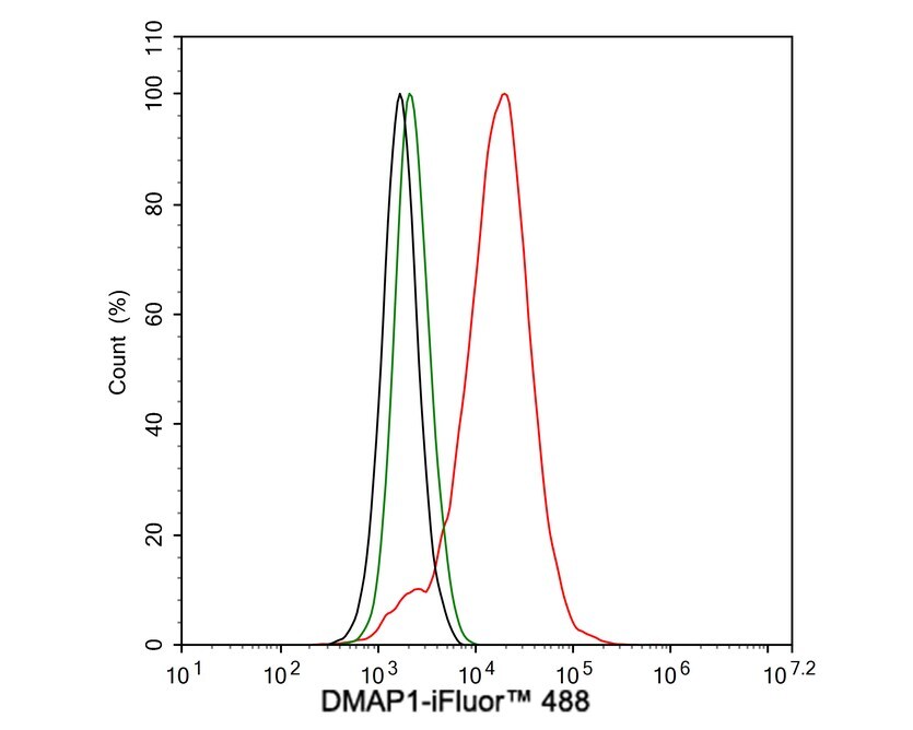DMAP1 Antibody (JE55-31)