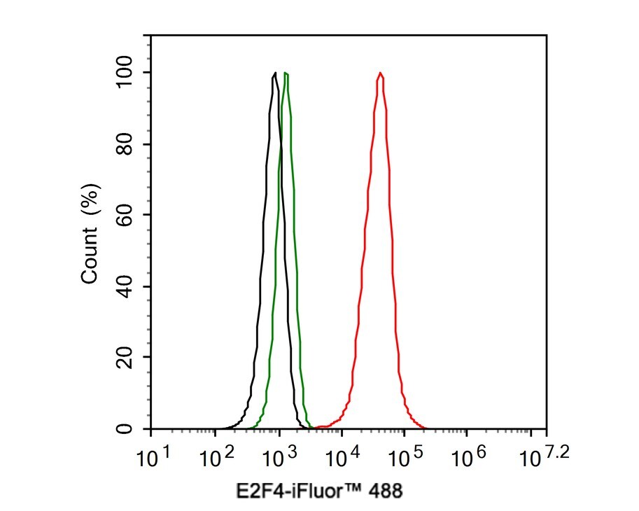 E2F-4 Antibody (JE40-78)