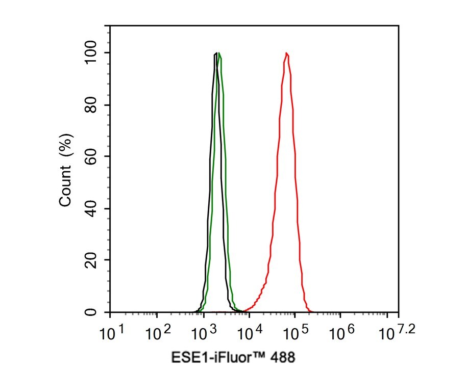 ELF3/ESE-1 Antibody (JE33-30)