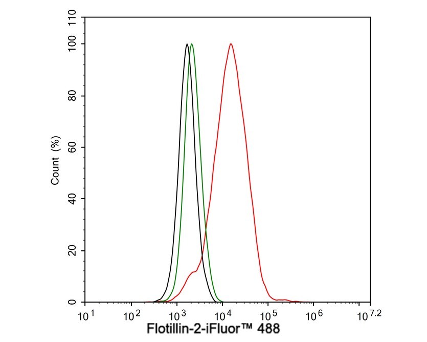 Flotillin 2 Antibody (PSH03-41)