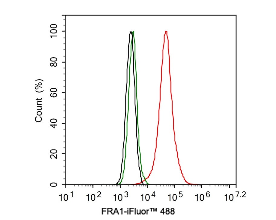 FRA-1/FOSL1 Antibody (JE33-20)
