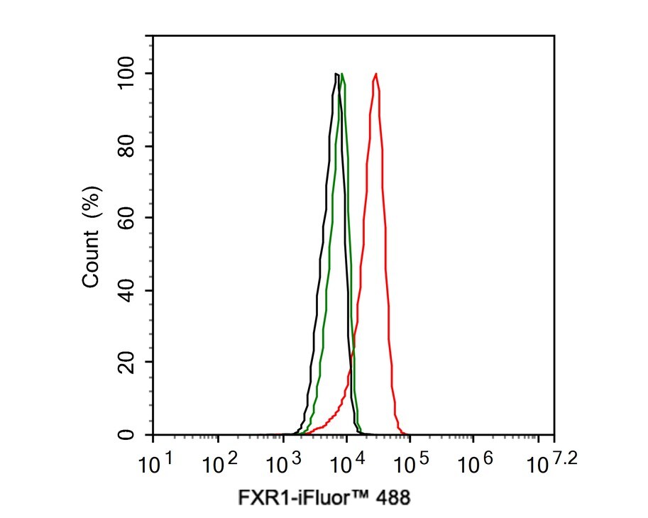FXR1 Antibody (PSH01-67)