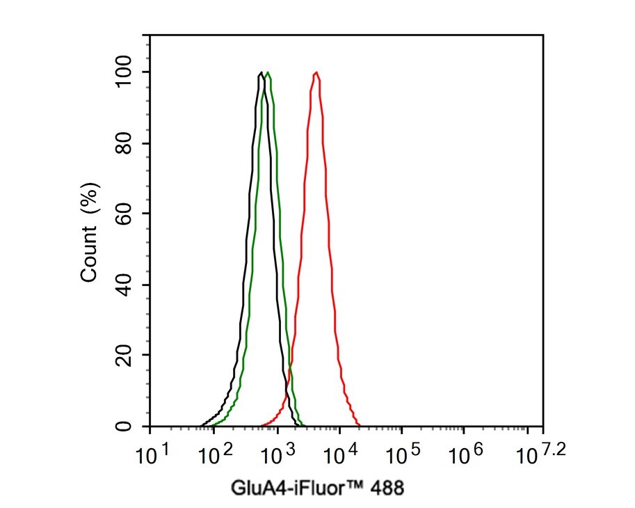 Glutamate Receptor 4 Antibody (JE36-81)