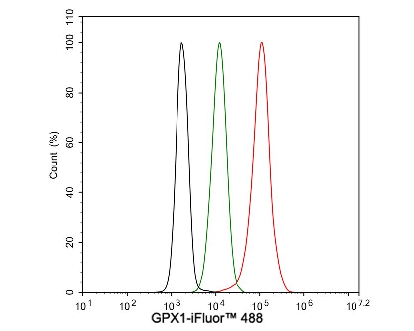 Glutathione Peroxidase 1/GPX1 Antibody (C5-A10-R)