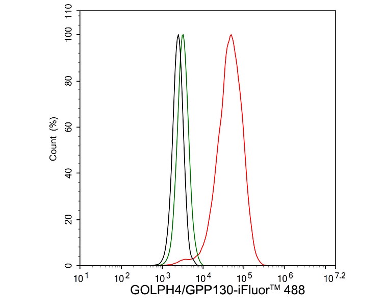 GOLPH4 Antibody (PSH02-98)