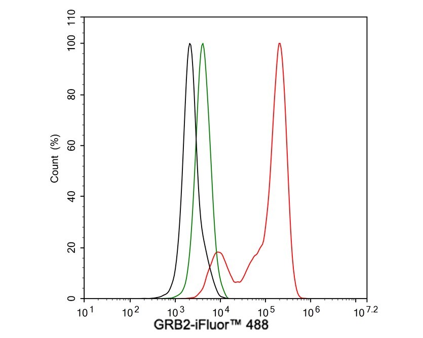 GRB2 Antibody (JE49-73)