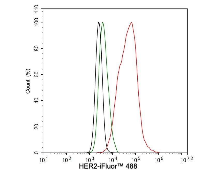 ErbB2/Her2 Antibody (PD00-53)