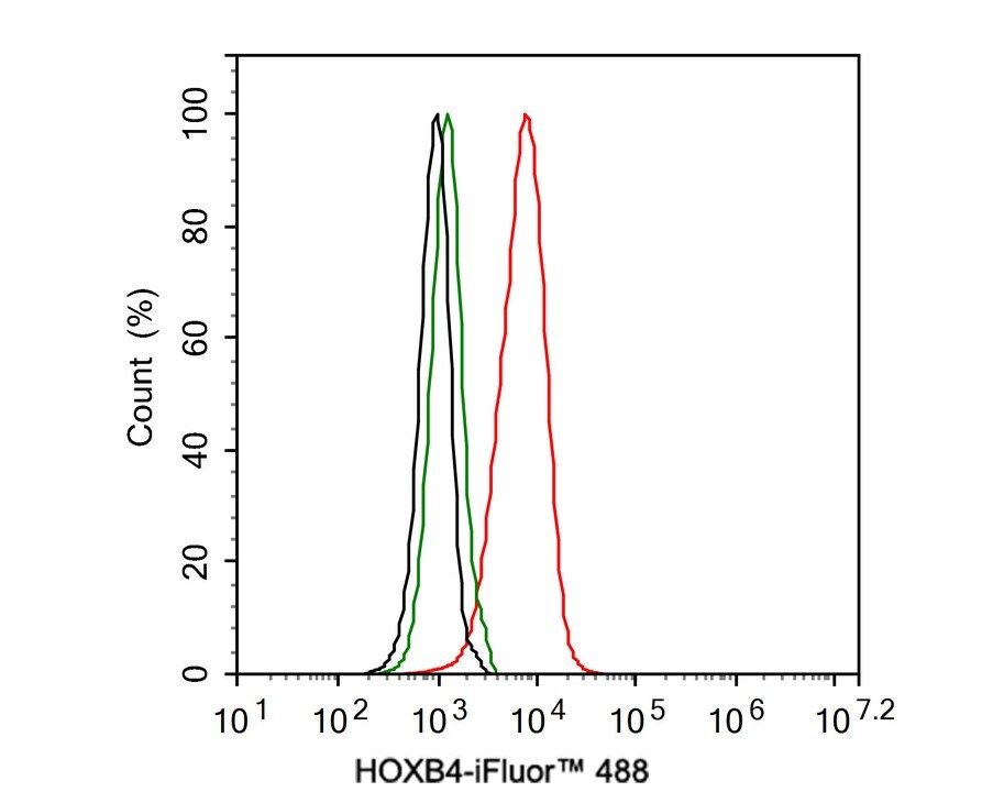 HOXB4 Antibody (JE36-65)