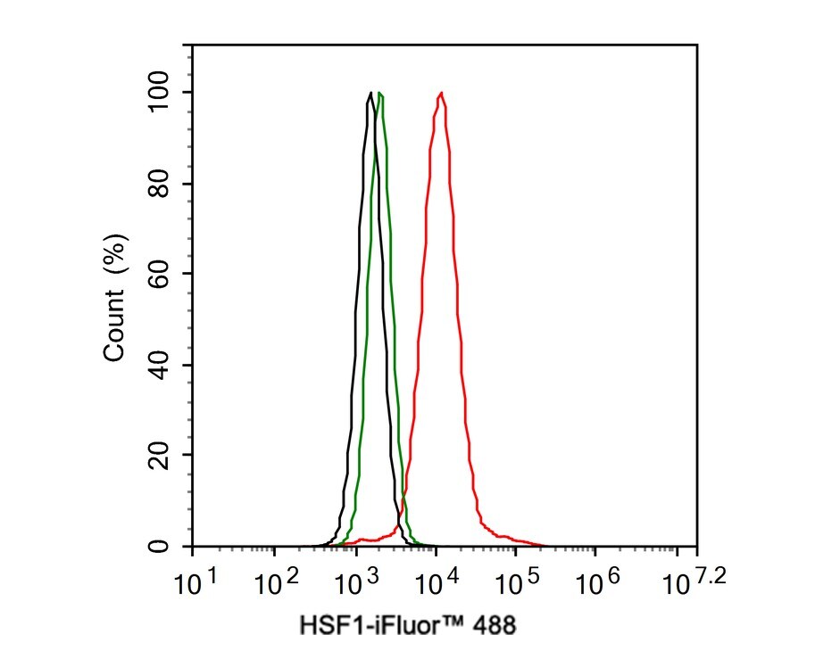 HSF1 Antibody (JE44-79)