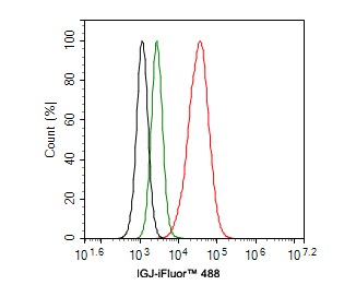 IgJ Antibody (PD00-89)