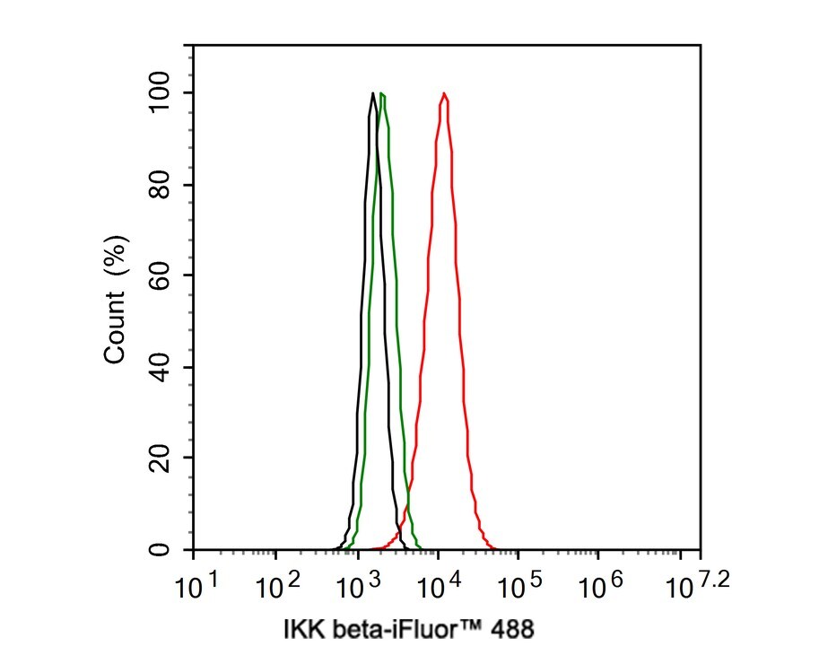 IKK beta Antibody (JE32-81)