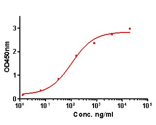 IL-1 beta/IL-1F2 Antibody (A7F7-R)