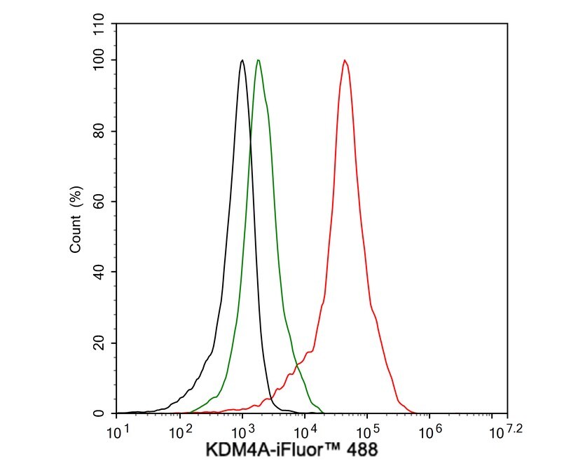 Lysine (K)-specific Demethylase 4A/KDM4A/JMJD2A Antibody (PSH03-67)