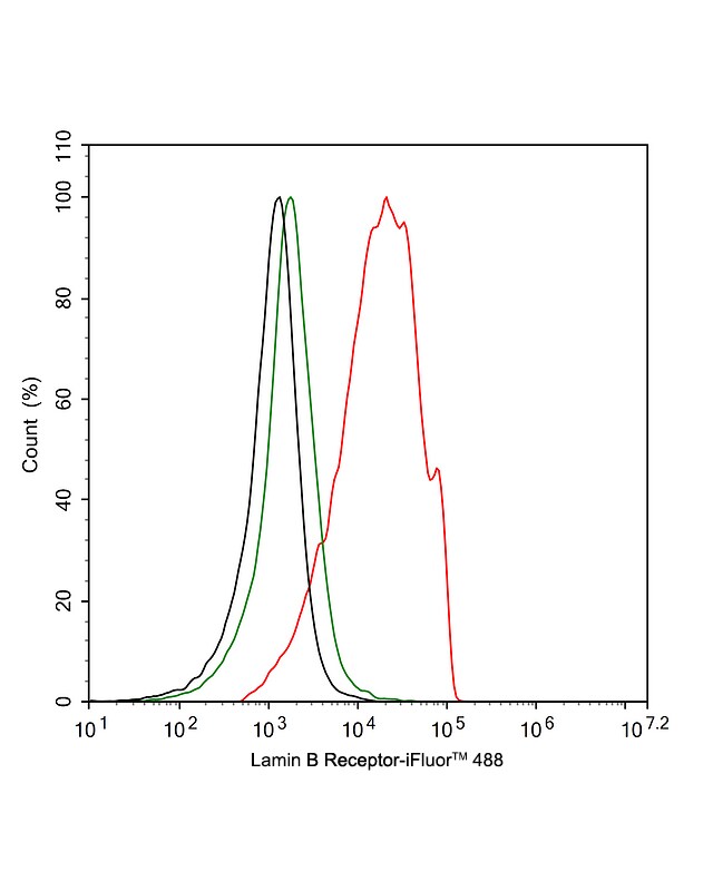 Lamin B Receptor Antibody (PSH02-93)