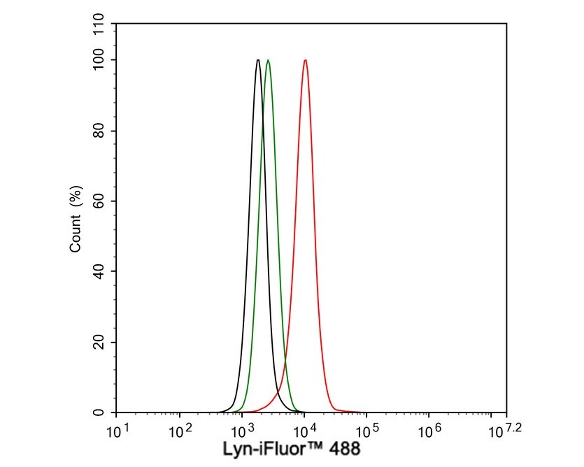 Lyn Antibody (JE44-75)