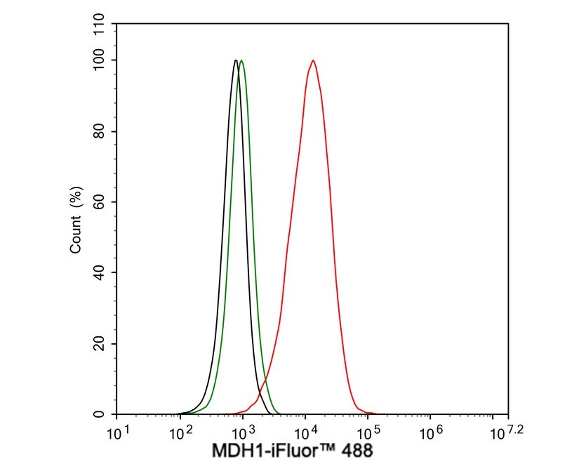 MDH1 Antibody (JE35-03)