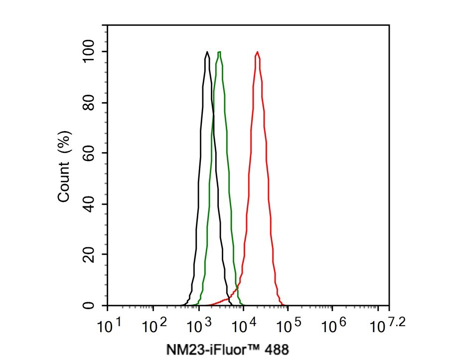 NM23-H1 Antibody (12A1-R)