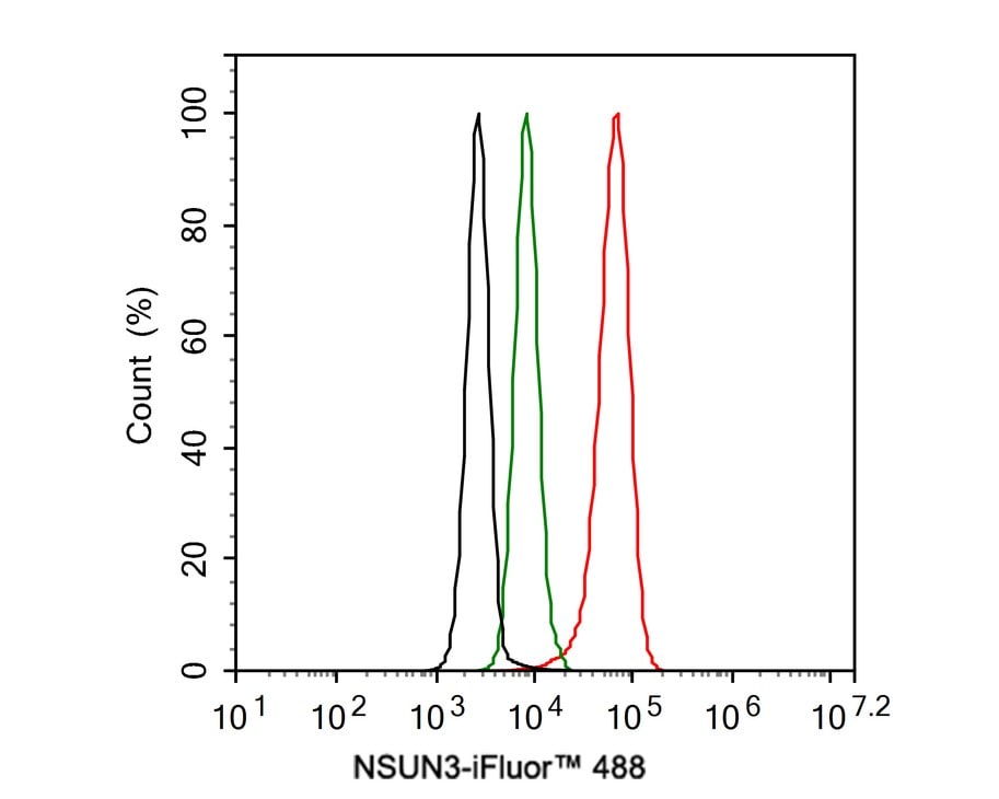 NSUN3 Antibody (PSH01-97)