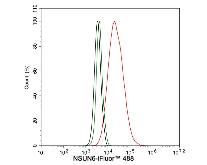NSUN6 Antibody (PSH02-80)