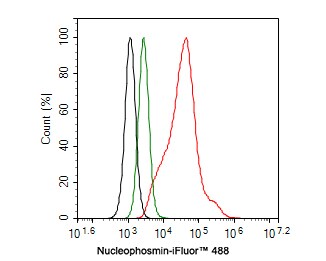 NPM1 Antibody (PD00-91)