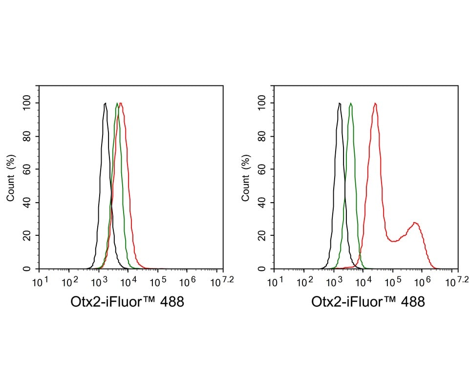 Otx2 Antibody (PSH01-61)