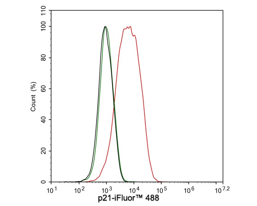 p21/CIP1/CDKN1A Antibody (PSH03-93)