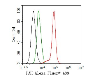 Phenylalanine Hydroxylase Antibody (JE64-47)