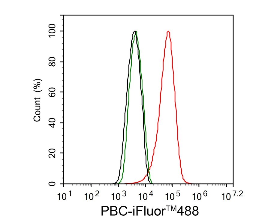 Pyruvate Carboxylase Antibody (PSH01-56)