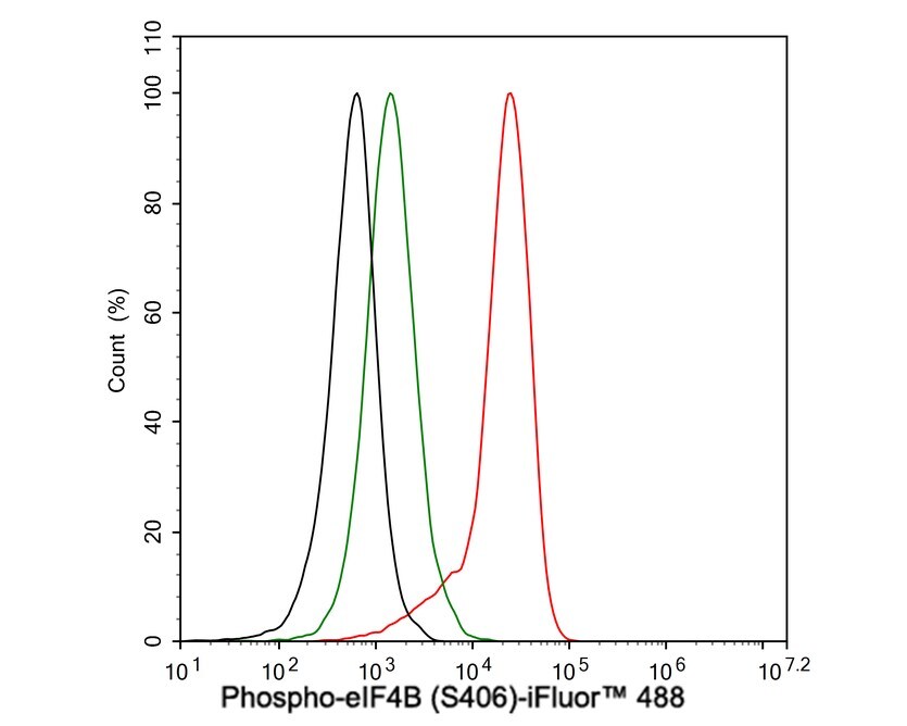 eIF4B [p Ser406] Antibody (JE63-80)