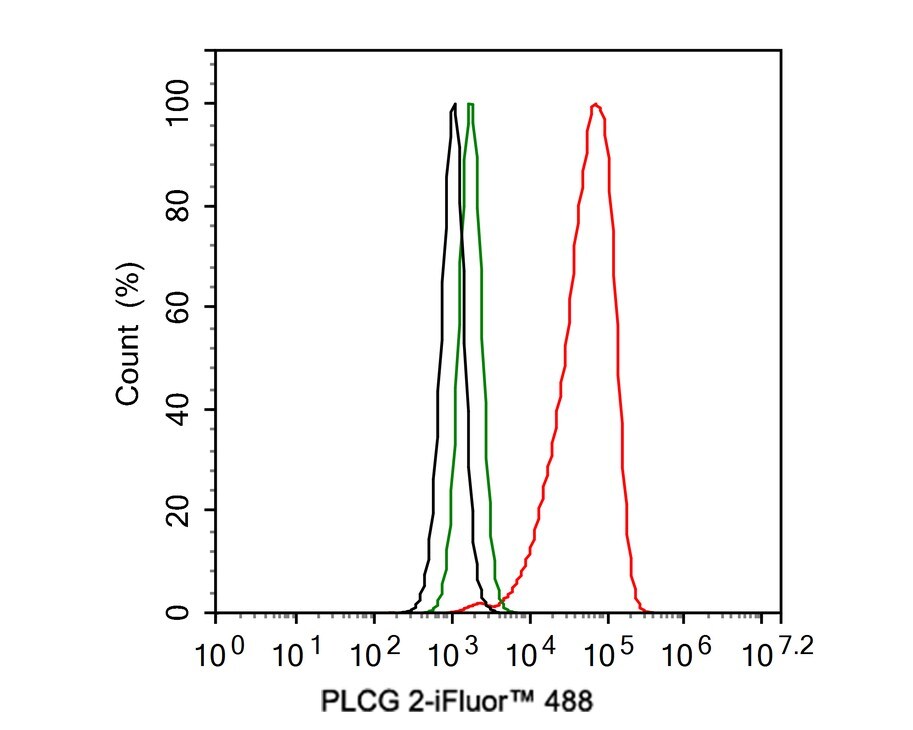 PLC-gamma 2 Antibody (JE39-12)