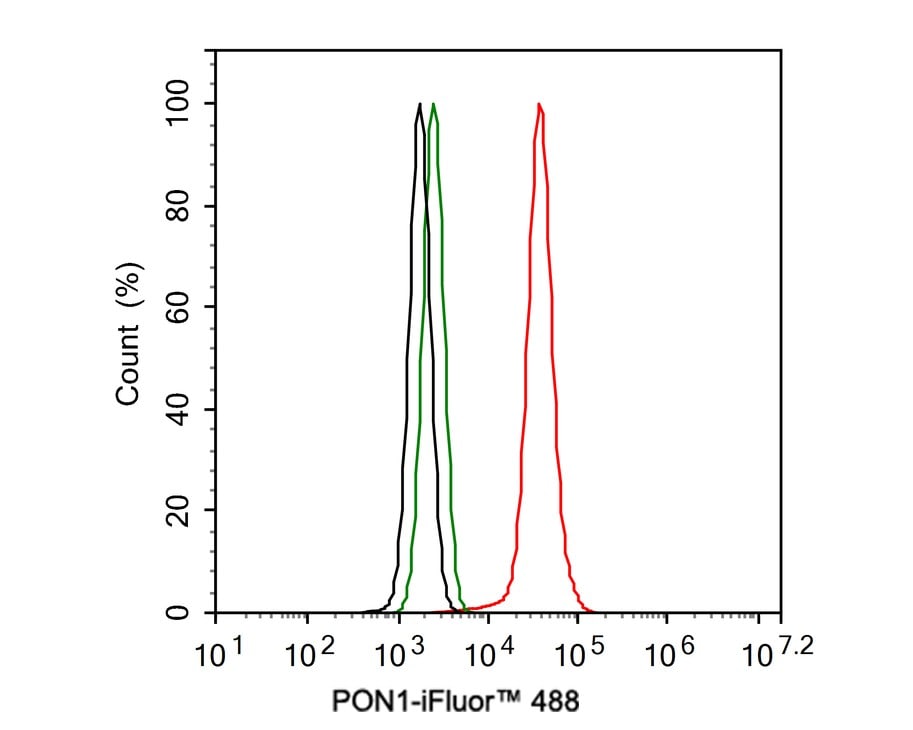 PON1 Antibody (JE30-90)