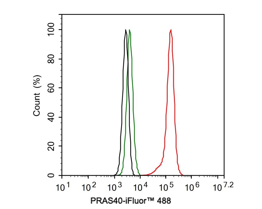 PRAS40 Antibody (JE30-60)