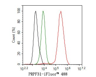 PRPF31 Antibody (JE64-82)