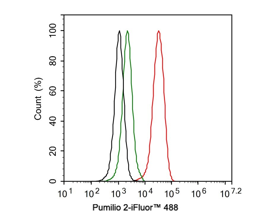 PUM2 Antibody (JE37-76)