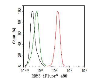 RBM3 Antibody (JE63-84)