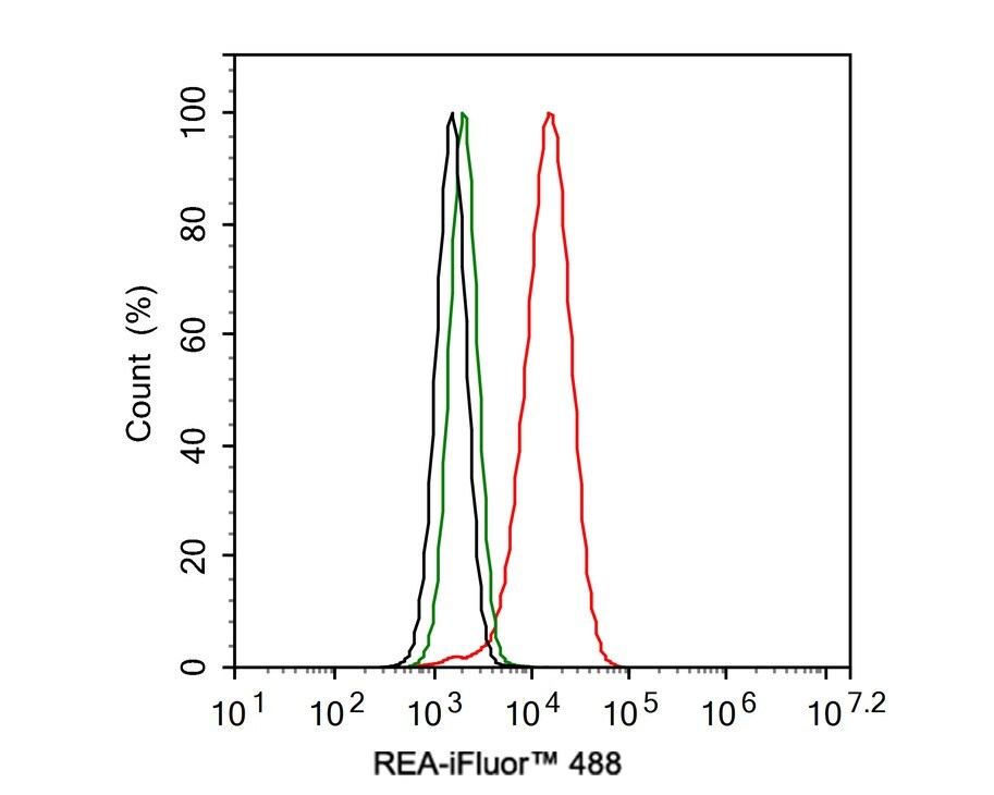 Prohibitin 2 Antibody (JE35-46)