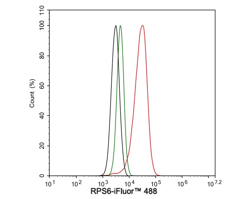 Ribosomal Protein S6/RPS6 Antibody (A6B9-R)