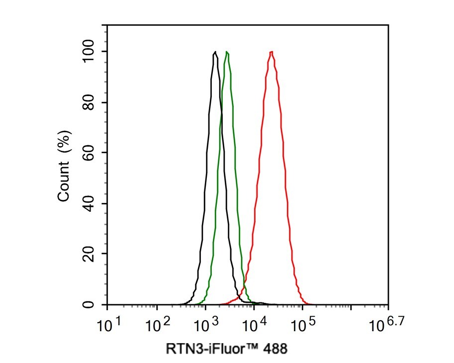 RTN3 Antibody (PSH0-40)