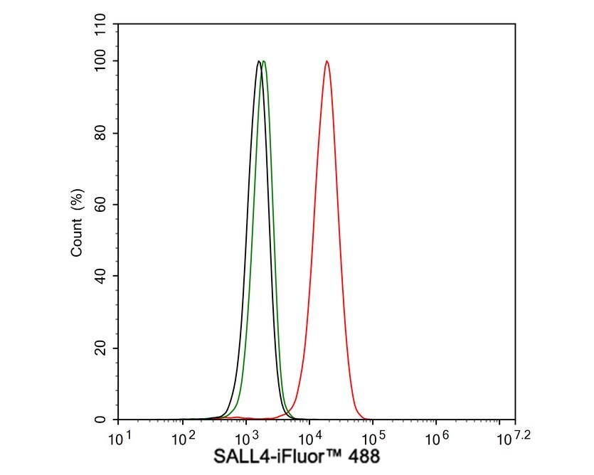 SALL4 Antibody (A7A7-R)