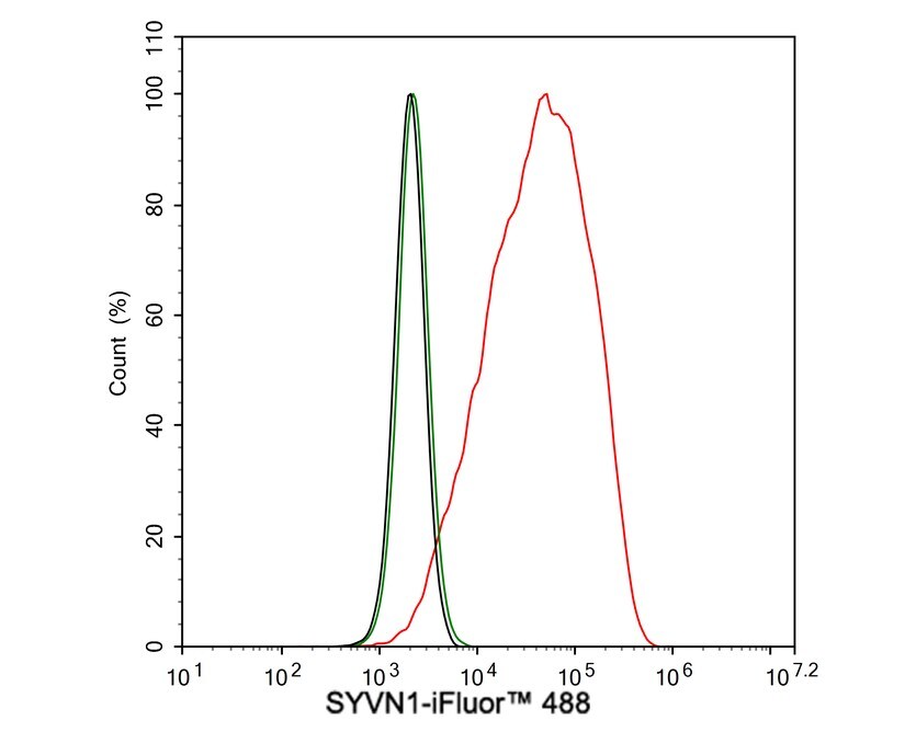 HRD1 Antibody (JE44-67)