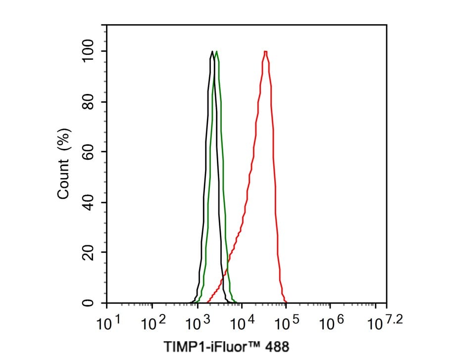 TIMP-1 Antibody (JE59-72)