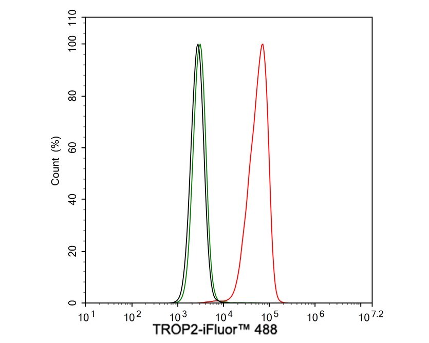 TROP-2 Antibody (A5E2-R)