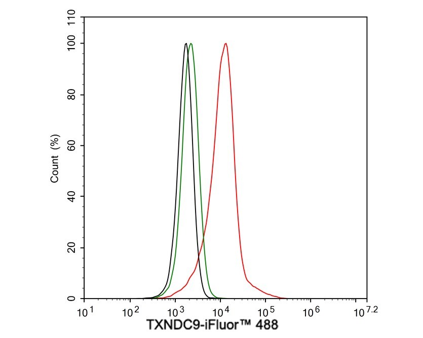 TXNDC9 Antibody (PSH04-43)