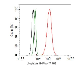 Uroplakin III Antibody (PD00-09)