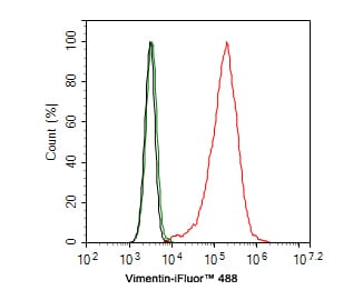 Vimentin Antibody (PDH0-01)