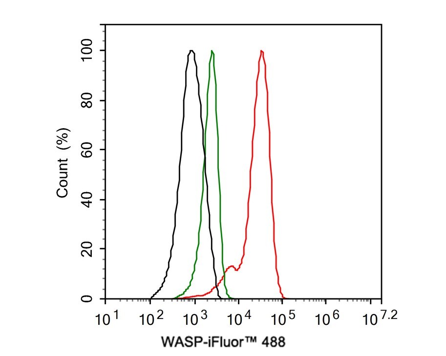 WASP Antibody (JE36-82)