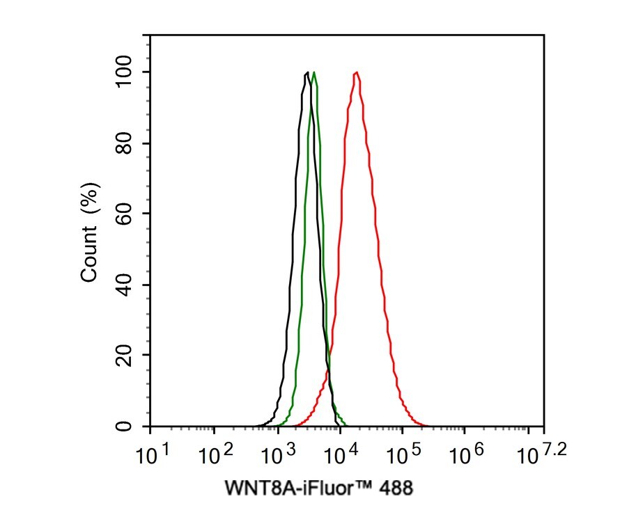 Wnt-8a Antibody (PSH0-39)