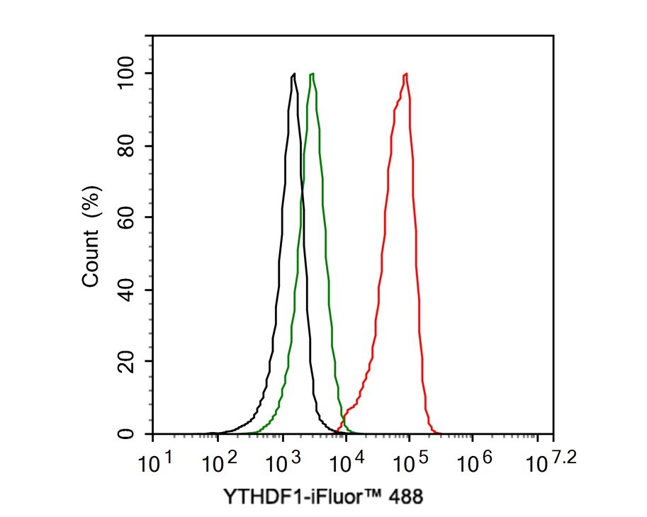 YTHD1 Antibody (PSH0-23)
