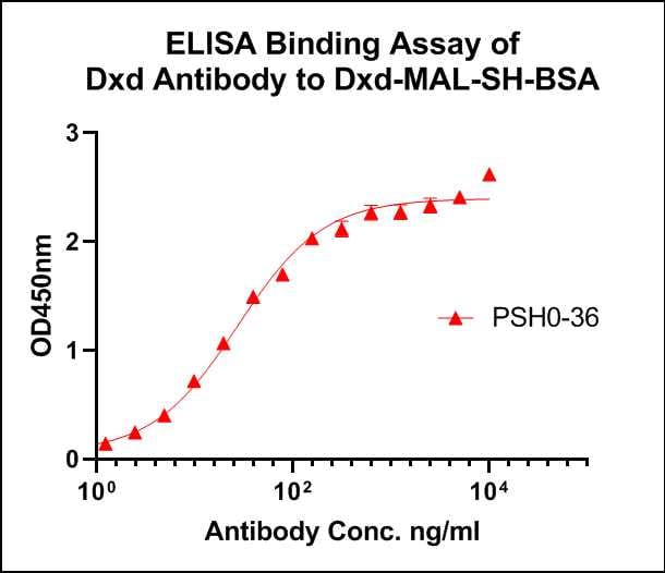 DXD Antibody (PSH0-36)